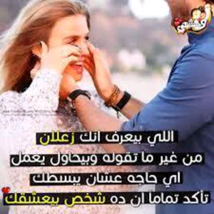 المقداد ودالقاضي
